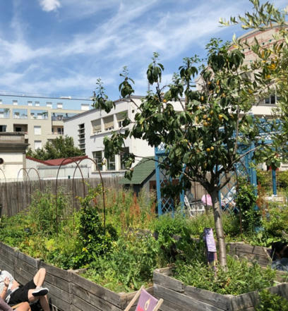 [Article] La nouvelle insertion de l’agriculture urbaine dans la fabrication de la ville | ESPACES VEGETALISES URBAINS | Scoop.it