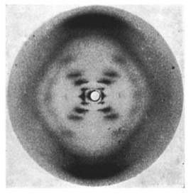 Rosalind Franklin (1920-1958) | Ciencia-Física | Scoop.it
