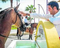 La ciudad recupera sus tradiciones y los caballos vuelven a trotar... - El Almer&iacute;a | Caballo, Caballos | Scoop.it
