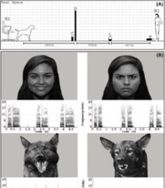 Los perros reconocen las emociones humanas | Generalidades sobre Neurología | Scoop.it