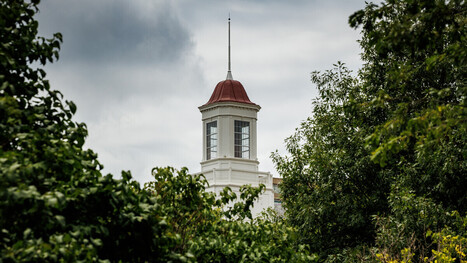 Biochar field day to showcase Nebraska research, redcedar management | Nebraska Today | Industry 411 - Waste Management | Scoop.it