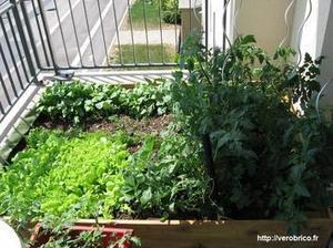 Réaliser un petit jardin avec des #palettes sur votre balcon | DIY Palettes | Scoop.it
