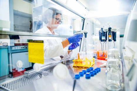 L&rsquo;ECHA recommande de classer le&nbsp;TFA comme substance reprotoxique | Eurogip | Pr&eacute;vention du risque chimique | Scoop.it