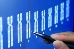 Shared genes with Neanderthal relatives: Modern East Asians share genetic material with prehistoric Denisovans | Archaeology News | Scoop.it