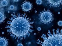 Important changes in the timing of influenza epidemics in Western and Eastern Europe | Virology News | Scoop.it