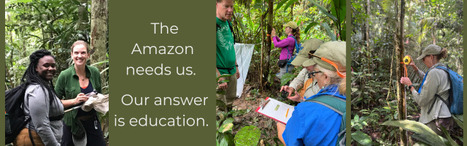Your donations fuel our work!  | RAINFOREST EXPLORER | Scoop.it