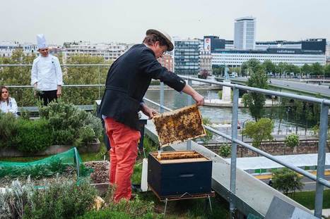 À Paris, la foire du dard contemporain | Variétés entomologiques | Scoop.it