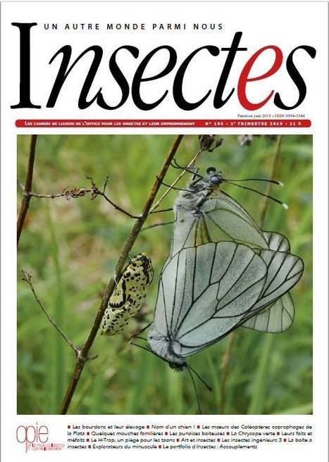 En ligne et en pdf : les articles du n° 193 (2e tr. 2019) d'Insectes | Insect Archive | Scoop.it