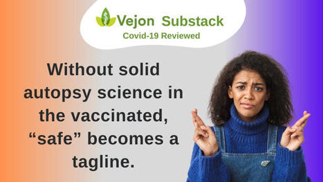 Unexpected Immune Pathology in SARS-COV Vaccine Studies | Vejon Health Ltd posted on the topic | H&eacute;sitations Vaccinales: Observatoire HESIVAXs | Scoop.it