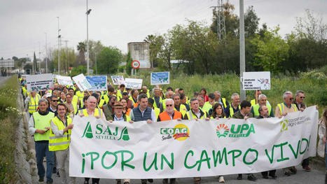Cientos de agricultores piden en el Puerto de Sevilla "un gran acuerdo" contra la "destrucción" del sector | Sevilla Capital Económica | Scoop.it
