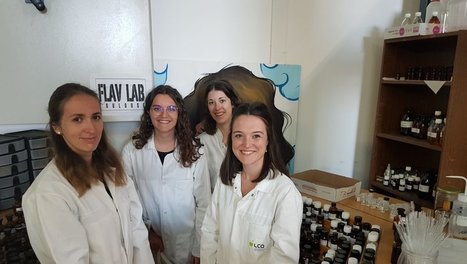 [INP-FavLab] Un kit de senteurs conçu à Toulouse pour diagnostiquer les cas de Covid-19 - vidéo | InMédias | Scoop.it