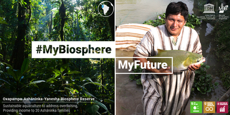 Des communautés autochtones pratiquent le développement durable dans une Réserve de biosphère péruvienne | Biodiversité | Scoop.it