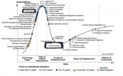 Gamification, Virtual Worlds and The Gartner Hype Cycle | Digital Delights - Avatars, Virtual Worlds, Gamification | Scoop.it