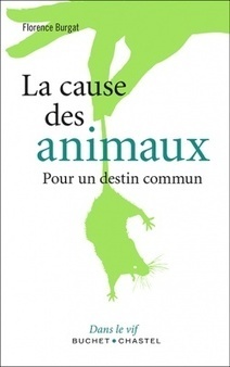 La cause des animaux - Florence Burgat - Buchet/Chastel | Vari&eacute;t&eacute;s entomologiques | Scoop.it