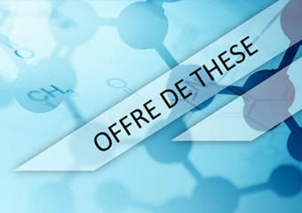 Offre de bourse de th&eacute;se | T&eacute;l&eacute;d&eacute;tection veille IST INRAE & AgroParisTech | Scoop.it