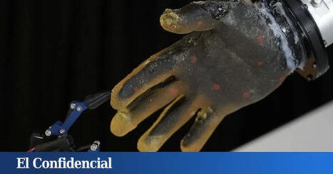 Crean una mano robótica con piel 'casi humana' y consiguen que sea capaz de sentir dolor | Mi Cajón de Ideas | Scoop.it