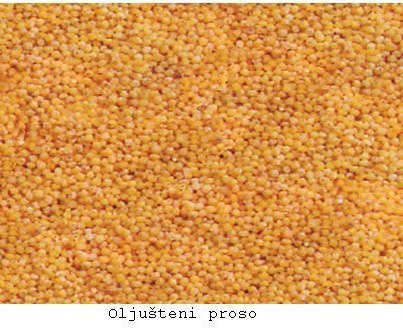 ПРОСО | КУВАР | Scoop.it