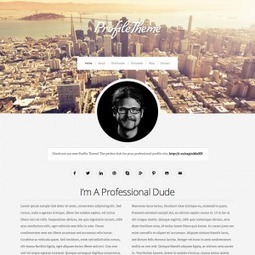 Profile. Un CV au format WordPress | Geeks | Scoop.it