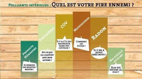 [Infographie] Top 8 des pires polluants et contaminants présents dans nos maisons | Toxique, soyons vigilant ! | Scoop.it