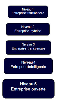 Le CRIM veut créer un modèle de maturité en innovation collaborative - Direction Informatique | information analyst | Scoop.it