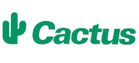 Cactus Closes Temporarily 3 Stores due to Hacking | #Luxembourg #CyberSecurity #Europe | Luxembourg (Europe) | Scoop.it