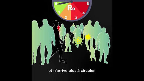 Les Vaxxeuses - L'immunit&eacute; collective, en r&eacute;sum&eacute; : | H&eacute;sitations Vaccinales: Observatoire HESIVAXs | Scoop.it