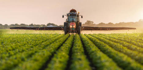 FRANCE : Pesticides et santé : les agriculteurs ont été, sont et seront les principales victimes de ces substances | MED-Amin network | Scoop.it