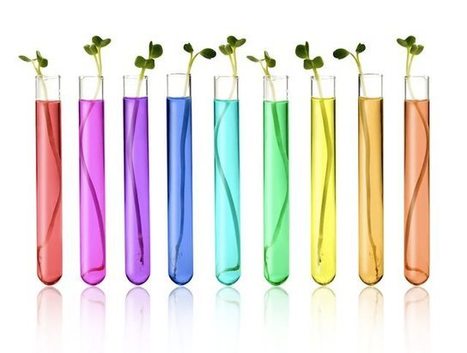 Will Sneaky Genetically Modified Organism (GMO) Amendments Pass thanks to Underhanded Maneuver? | Coffee Party Science | Scoop.it