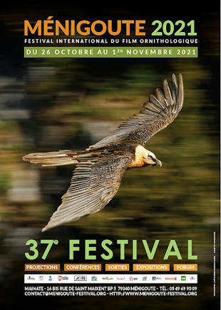 FIFO - Festival International du Film Ornithologique de Ménigoute | Culture sciences et techniques | Scoop.it