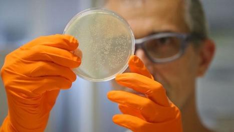 Using viruses to fight cancer | #Research  | 21st Century Innovative Technologies and Developments as also discoveries, curiosity ( insolite)... | Scoop.it