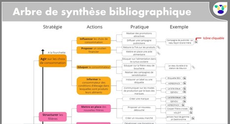 [Synthèse biblio] Le devenir des veaux laitiers | Lait de Normandie... et d'ailleurs | Scoop.it