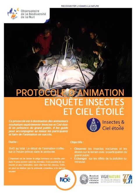 Enquête Insectes & Ciel étoilé : fascinante et pédagogique ! | Insect Archive | Scoop.it
