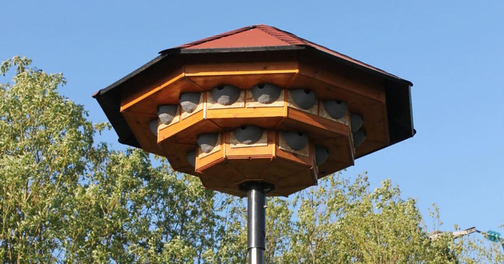 Betschdorf. Un h&ocirc;tel &agrave; hirondelles s&rsquo;installe au parc Passion Plumes Alsace | Tourisme durable | Scoop.it