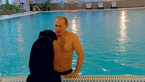 Les horaires de piscine r&eacute;serv&eacute;s aux femmes continuent de faire pol&eacute;mique | Chronique des Droits de l'Homme | Scoop.it