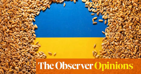 The food crisis is what happens when global chains collapse. We might need to get used to it | Will Hutton | The Guardian | International Economics: IB Economics | Scoop.it