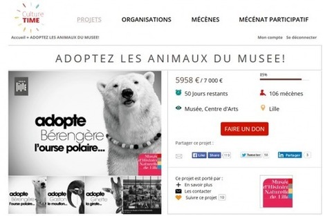 Laurence Boursican - Culture Time : "Spécialiser une plateforme de crowdfunding sur le secteur culturel était un pari" | Mécénat participatif, crowdfunding & intérêt général | Scoop.it