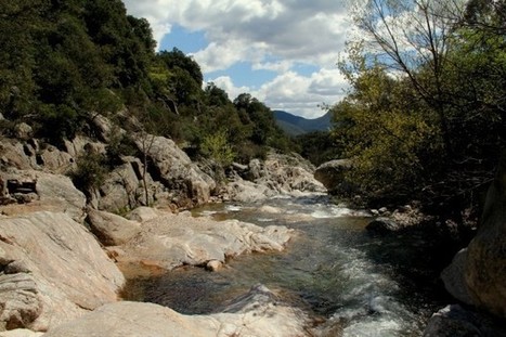 Autour du Caroux, nature et bien-être | Mag'Centre | Patrimoine & Grands Sites | Scoop.it