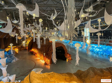 L'océan de Léa, la nouvelle exposition immersive, à la patinoire de Saint-Ouen (93) - Sortiraparis.com | Eco-conception | Scoop.it