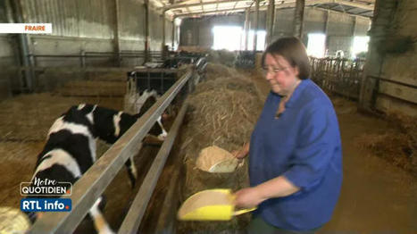 Une solution pour survivre: des producteurs belges de lait s'allient pour se passer des industriels  | Economie de l'Elevage | Scoop.it