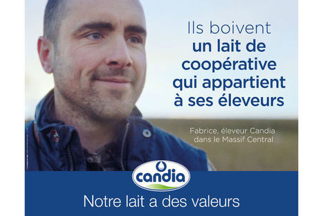 Candia revoit entièrement son image de marque | Lait de Normandie... et d'ailleurs | Scoop.it