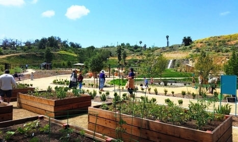 Pick Figs, Grapes, And Lemonade Berries At This 5-Acre Park In Culver City | Sustainability Science | Scoop.it