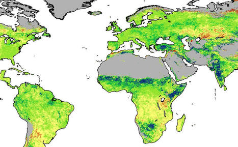 Deserts 'greening' from rising CO2 - CSIRO | Compliance o Acquiescenza di un Sistema | Scoop.it
