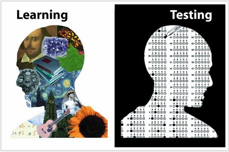 Una prueba no prueba nada ▸ One test proves nothing | TIC & Educación | Scoop.it