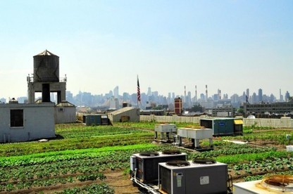 Des fermes urbaines sur les toits de New-York | Questions de développement ... | Scoop.it
