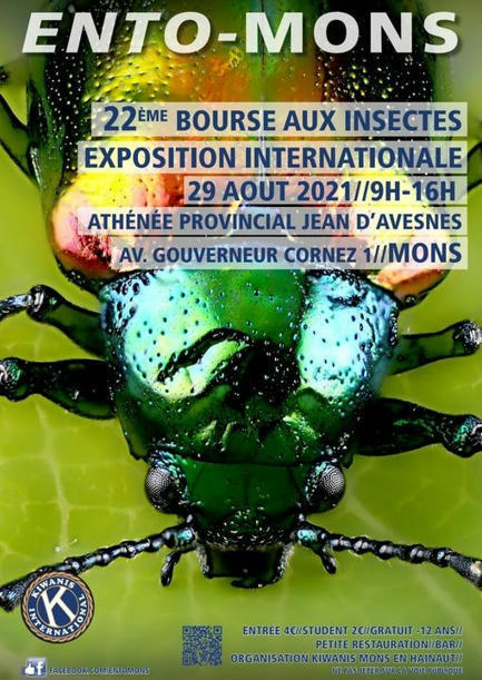 La bourse entomologique Ento-Mons (Belgique) aura bien lieu le 29 ao&ucirc;t 2021 | Vari&eacute;t&eacute;s entomologiques | Scoop.it