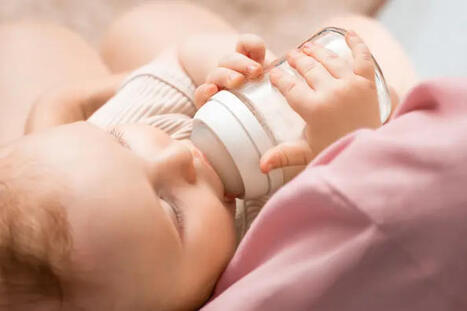 Laits infantiles : l&rsquo;Efsa abaisse le seuil de toxicit&eacute; de la c&eacute;r&eacute;ulide | ITERG - Veille sectorielle | Scoop.it