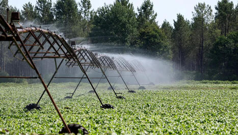Quelle place pour l'agriculture dans la gouvernance de l'eau&nbsp;? | Paysage - Agriculture | Scoop.it