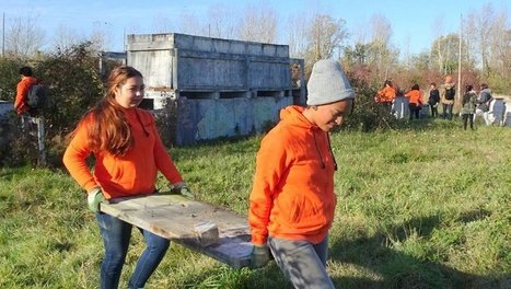 Appel à volontaires pour réhabiliter une prairie le 13/02/2019 | Lacroix-Falgarde | Scoop.it