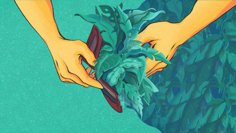 AG-TECH : How tech helps farmers to profit while going green  | INNOVATIONS | Scoop.it