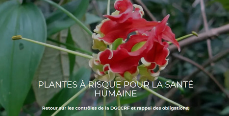 Plantes à risque pour la santé humaine : rappel des obligations | HORTICULTURE | Scoop.it